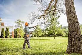 Shark River Hills, NJ Tree Removal and Landscaping Services Company